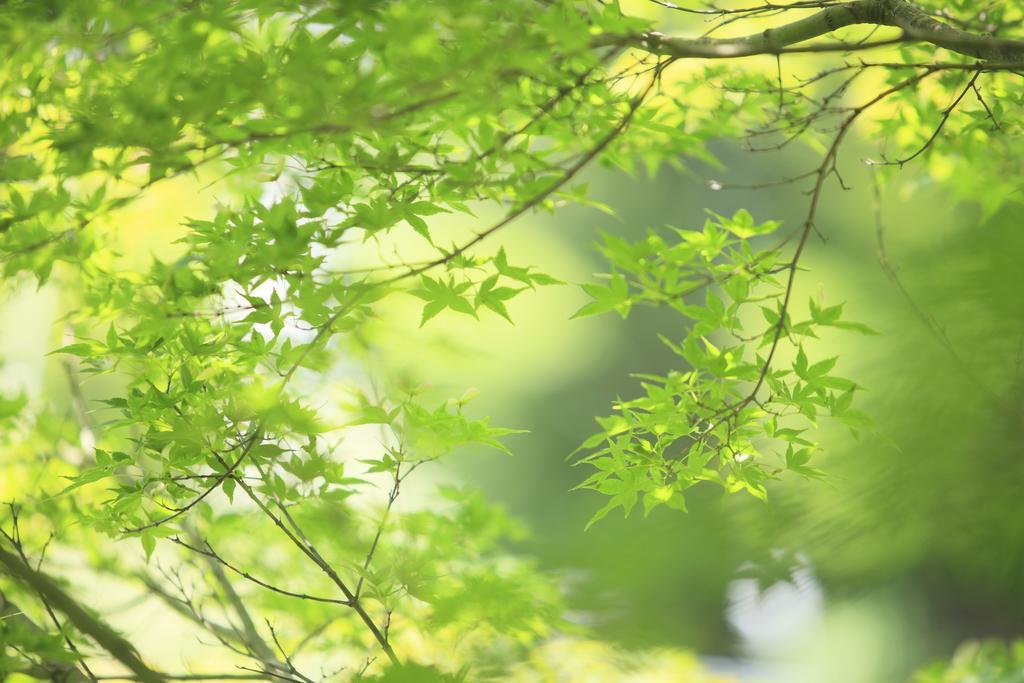 Oushuku Onsen Choeikan Shizukuishi Eksteriør bilde